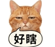 880838205