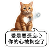 880838207