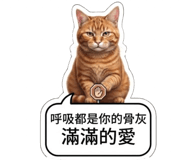880838223