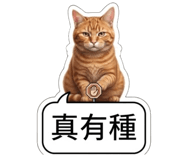 880838225