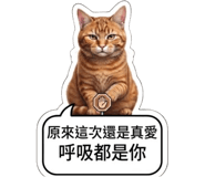880838226