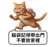 880838231