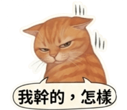 880838236