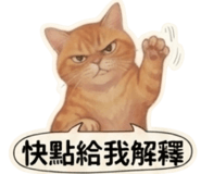 880838237