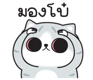 880838910
