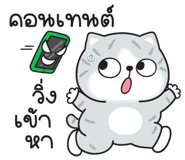880838920