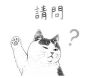 880839241