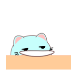 880840593