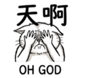 880842198