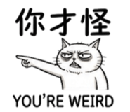 880842212