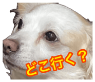 880842220
