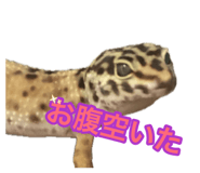 880842221