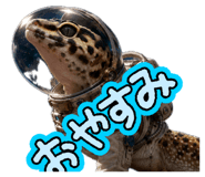 880842224