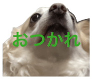 880842227