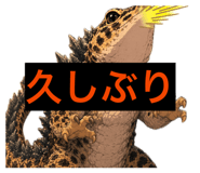 880842228