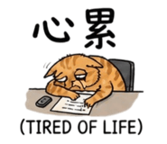 880843010