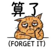 880843011