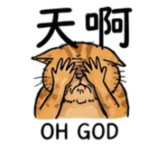 880843016