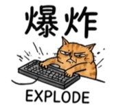 880843018