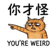 880843027