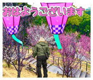 880869846