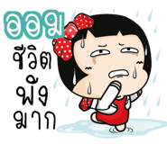 880870081