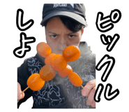 880871642