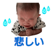 880872020