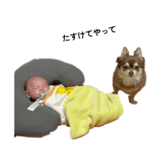 880872024