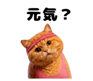 880872941