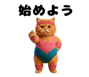 880872954