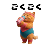 880872967