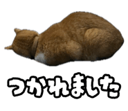 880878653