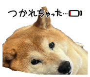 880878684