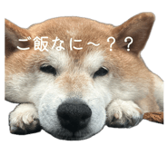 880878686