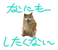 880878687
