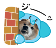 880878690