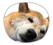 880878694