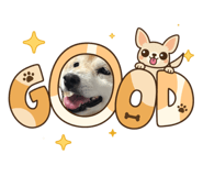 880878695