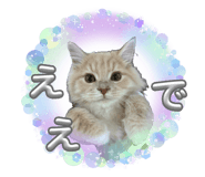 880879261