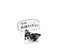880879347