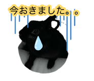 880881189