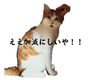 880881747
