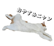 880881750
