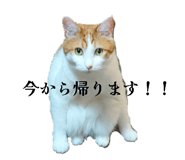 880881752