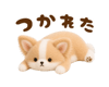 880884559