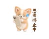880884579