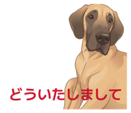 880888721
