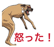 880888726
