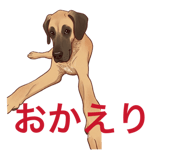 880888728